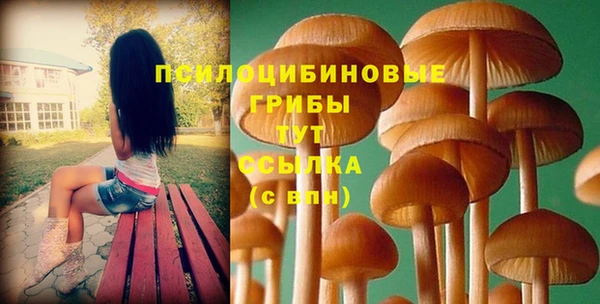 бутират Арсеньев