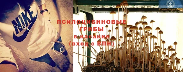 мескалин Аркадак