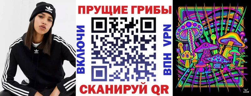 продажа наркотиков  Поронайск  Галлюциногенные грибы мицелий 